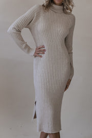 Tara Turtleneck Ribbed Sweater Dress