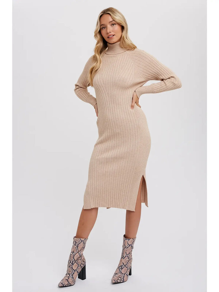 Tara Turtleneck Ribbed Sweater Dress