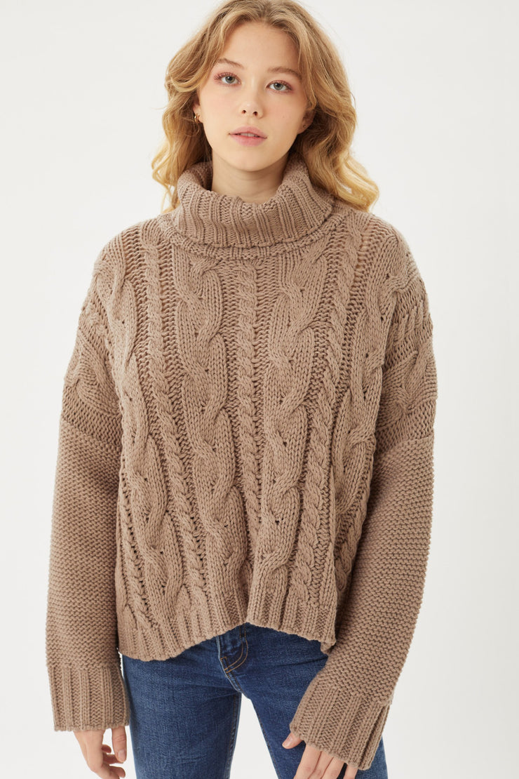 Cocoa Turtleneck Sweater